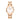 Orologio Daniel Wellington Donna Iconic - DW00100211